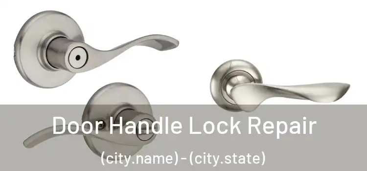 Door Handle Lock Repair (city.name) - (city.state)